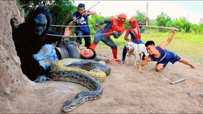 Spider-Man et un chien pitbull