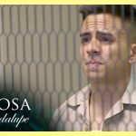 Polo fue arrestado