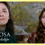 Dos latidos, un alma 2